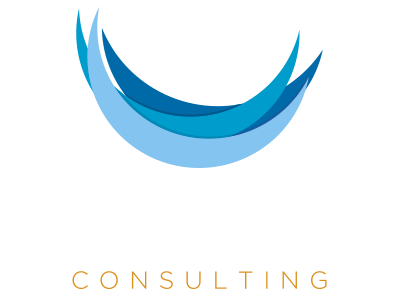 logo-consulting-neg